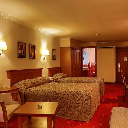 Central Hotel Hotel Bursa